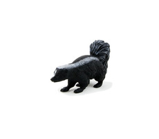 Mojo Animal Planet Skunk / od 3 let