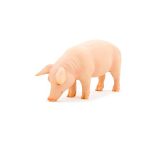 Mojo Animal Planet Prase / od 3 let