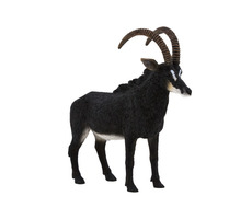 Mojo Animal Planet Antilopa vraná / od 3 let