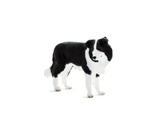 Mojo Animal Planet Border kólie / od 3 let