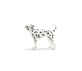 Mojo Animal Planet Dalmatin / od 3 let