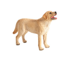 Mojo Animal Planet Labrador / od 3 let