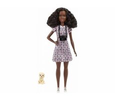 Mattel DVF50/HCN10 Barbie Povolání (You Can be Anything) - Zvířecí fotografka / od 3 let 