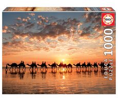EDUCA Zlatý západ slunce na Cable beach - Australie / 1000 dílků / od 14 let