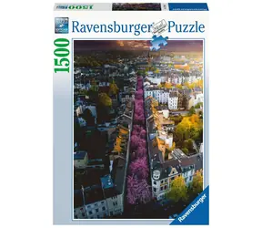 Ravensburger Bonn v květu / 1500 dílků / od 14 let