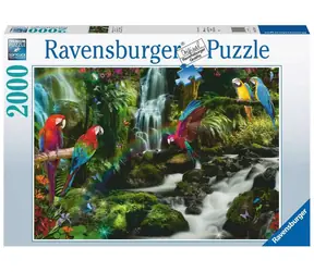 Ravensburger Barevní papoušci v džungli / 2000 dílků / od 14 let
