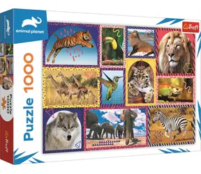 Trefl - Puzzle - Animal Planet: Divoká příroda / 1000 dílků / 68.3 x 48 cm / věk 13+