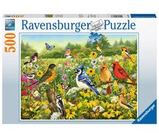 Ravensburger Ptačí louka