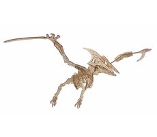Woodcraft Dřevěné 3D puzzle Pterosaur / 23 dílků / od 8 let / Obtížnost: jednoduchá 