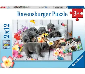Ravensburger Roztomilá štěňátka / 2x12 dílků / od 3 let 
