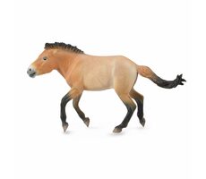 Collecta Kůň Převalského / od 3 let