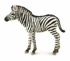 Collecta Zebra / od 3 let