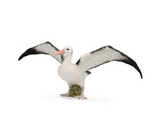 Collecta Albatros stěhovavý / od 3 let