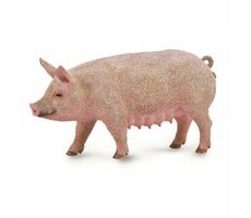 Collecta Prasnice / od 3 let