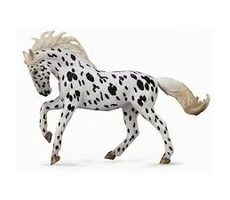 Collecta Kůň Knabstrupper Mare - Černý leopard / od 3 let