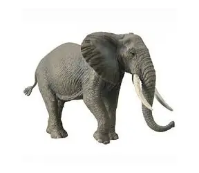 Collecta Slon africký / od 3 let