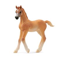 Schleich Horse Club 13984 Arabské hříbě / od 3 let 