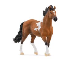 Schleich Horce Club 13978 Hřebec Mangalarga Marchador / od 3 let 
