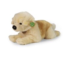 RAPPA Plyšový pes Zlatý Retrívr ležící 39 cm / ECO-FRIENDLY / od 0 měsíců 