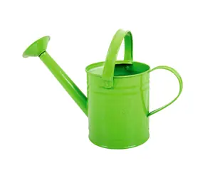Bigjigs Toys Zahradní konvička zelená / od 3 let