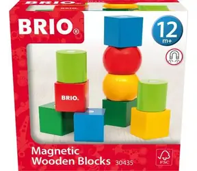 BRIO Magnetické dřevěné kostky / od 1 roku