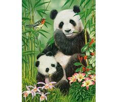 Castorland 030507 Pandí brunch / 300 dílků / od 8 let