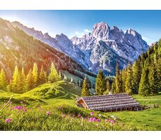 Castorland 53360  Léto v Alpách / 500 dílků / od 9 let