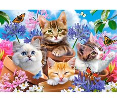 Castorland 52974 Koťátka s květinami / 500 dílků / od 9 let