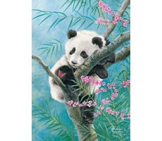 Castorland 53865 Bambusové snění / 500 dílků / od 9 let