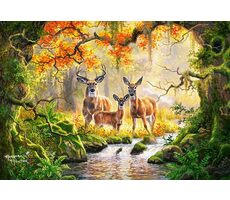 Castorland 104253 Královská rodina / 1000 dílků / od 9 let