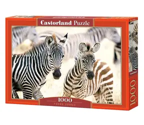 Castorland 105021 Mladé zebry / 1000 dílků / od 9 let