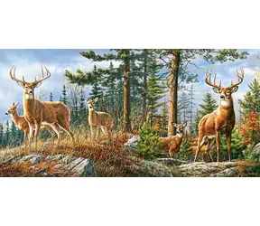Castorland 400317 Královská jelení rodina / 4000 dílků / od 9 let