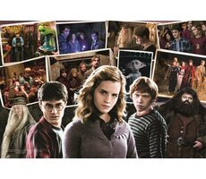 Trefl - Puzzle - Harry potter s přáteli / 160 dílků / 41 x 27.5 cm / věk 6+