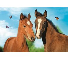 Trefl - Puzzle - Roztomilá zvířátka: Pár koní / 54 dílků / 20 x 13 cm / věk 4+