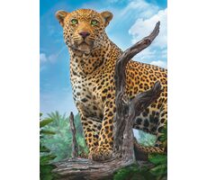 Trefl - Puzzle - Divoký levhart / 500 dílků / 48 x 34 cm / věk 10+