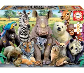 EDUCA Puzzle Fotka třídy / 300 dílků / od 8 let 