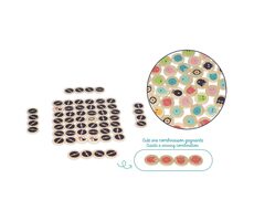 Vilac Mémorisk paměťová hra / od 6 let