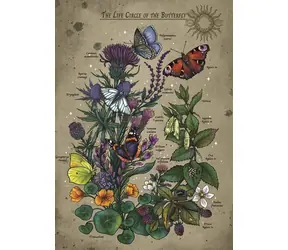 Ravensburger Puzzle: Životní cyklus motýla / 1000 dílků / od 14 let