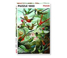 Piatnik Haeckel Kolibris / Počet dílků: 1000 / od 12 let