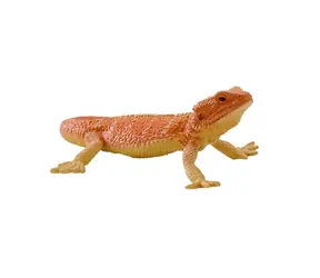 Mojo Agama / od 3 let