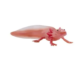Mojo Axolotl / od 3 let