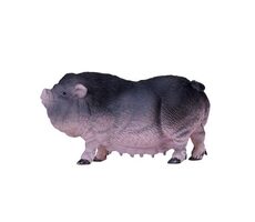 Mojo Vietnamské svislobřiché prase / od 3 let