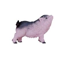 Mojo Vietnamské svislobřiché prase sele / od 3 let