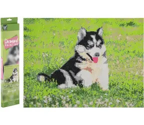 GRAFIX Diamantové malování Husky / 40x50 cm
