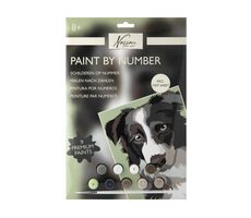 GRAFIX Malování podle čísel: Pes / od 6 let