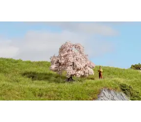 Noch Třešeň