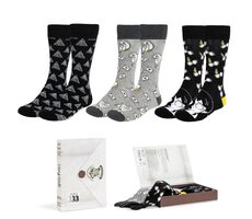 Cerdá Harry Potter 3páry / velikost 36-43