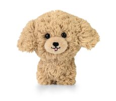 Daffi Maskot Teddy Pets pudl zlatý / od 0 měsíců