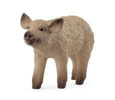 Schleich Zvířátko - Sele mangalica / od 3 let