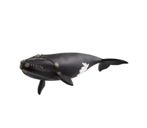 Schleich Zvířátko - Velryba severoatlantická / od 3 let